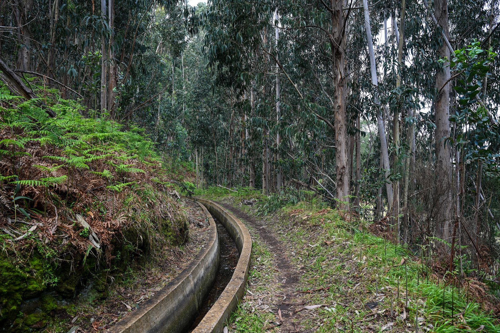 Levada Wanderung 02