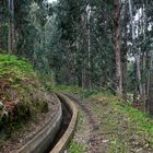 Levada Wanderung 02