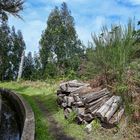 Levada Wanderung 04