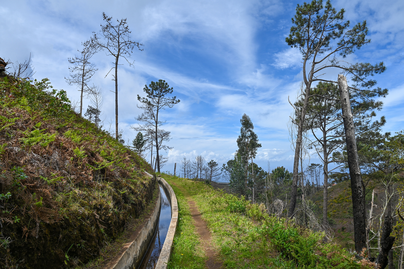 Levada Wanderung 05