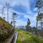 Levada Wanderung 05