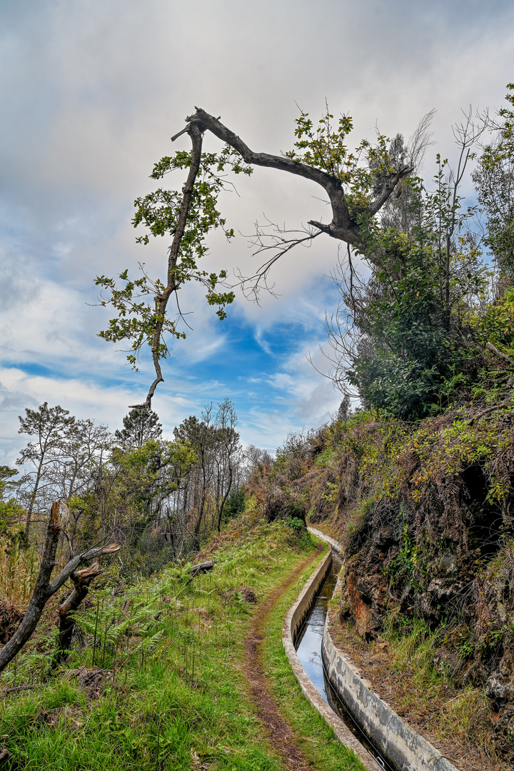 Levada Wanderung 06