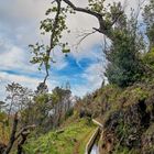 Levada Wanderung 06