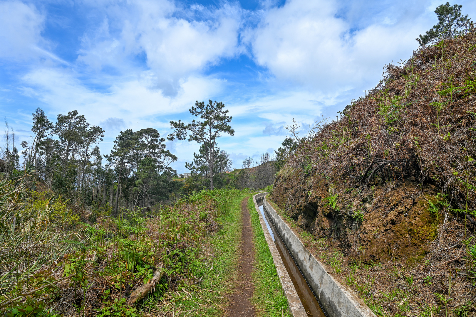 Levada Wanderung 07