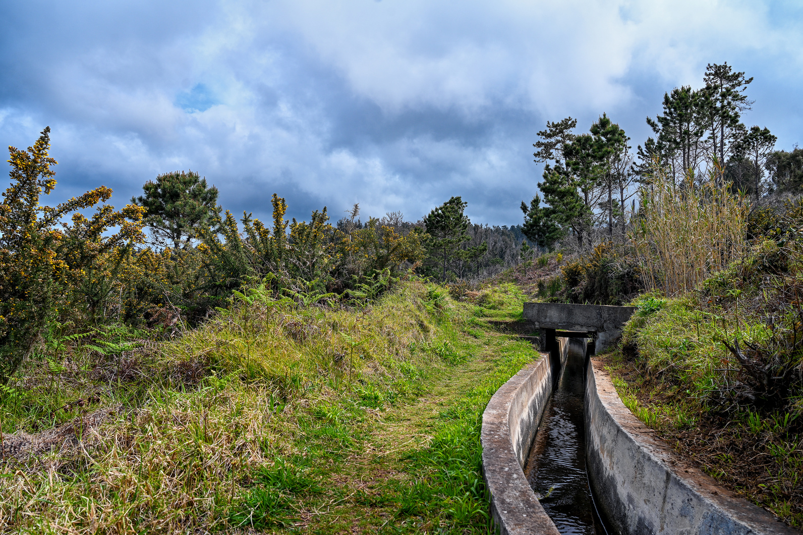 Levada Wanderung 09