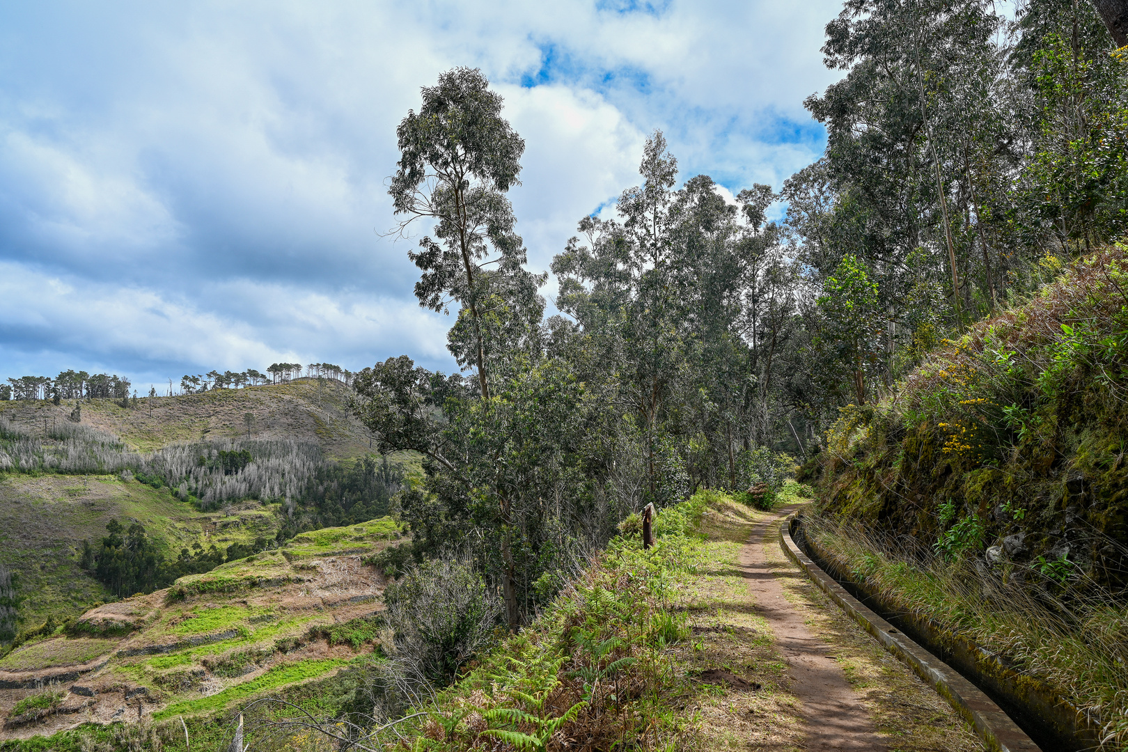 Levada Wanderung 13