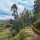 Levada Wanderung 13