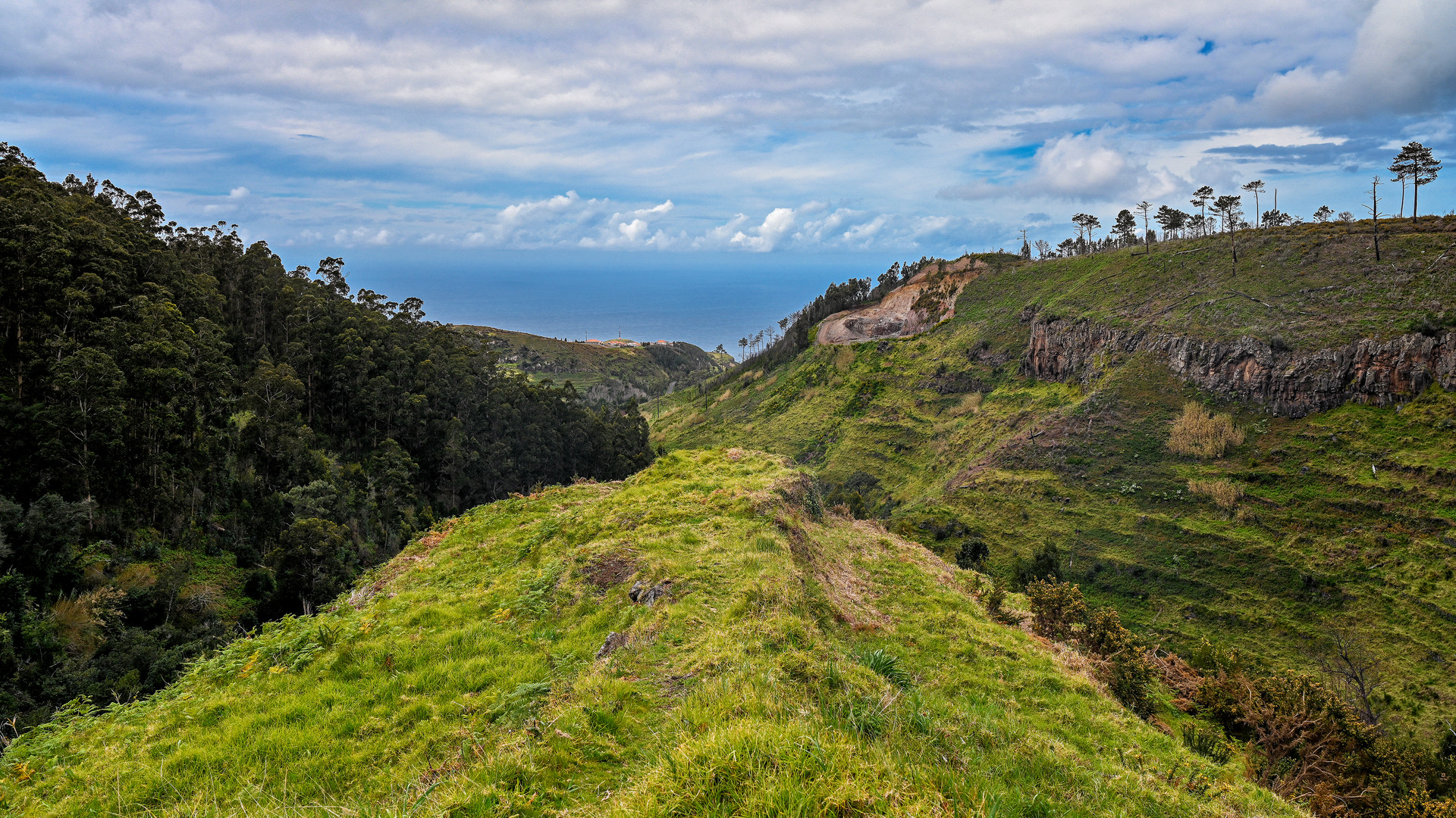 Levada Wanderung 15