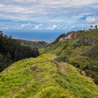 Levada Wanderung 15