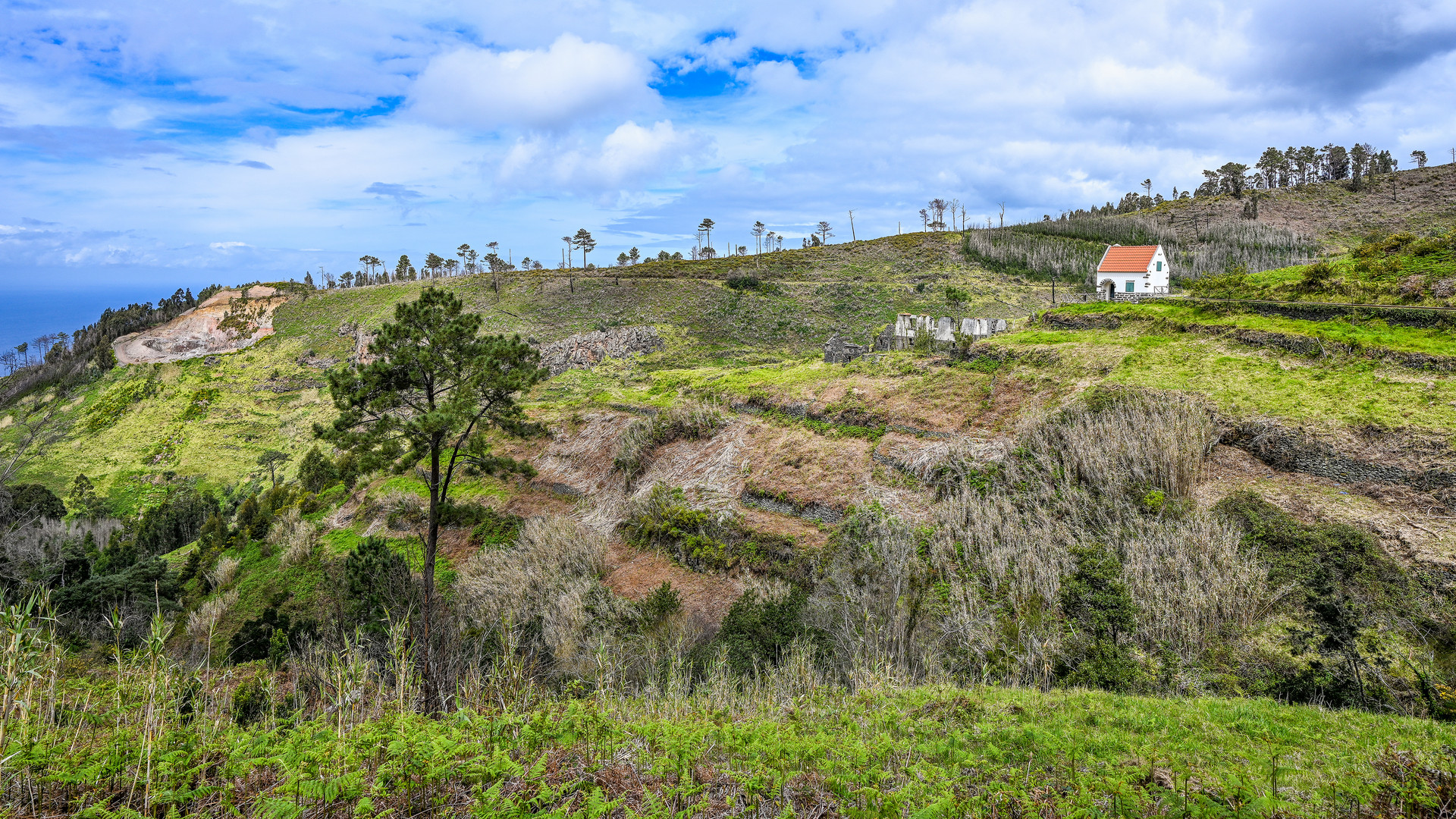 Levada Wanderung 17