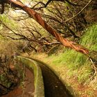 Levada-Wanderung auf Madeira