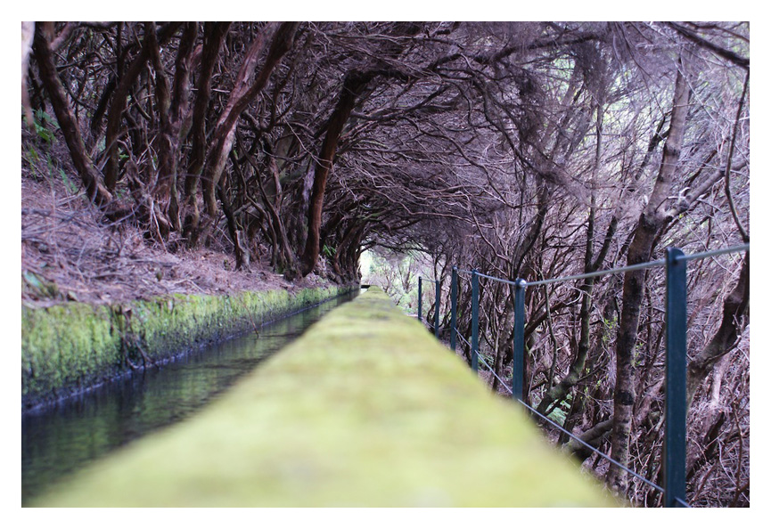 Levada Wanderung