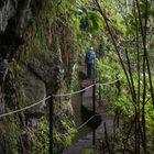 Levada Wanderung