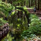 "Levada-Wanderung" im Bayerischen Wald...