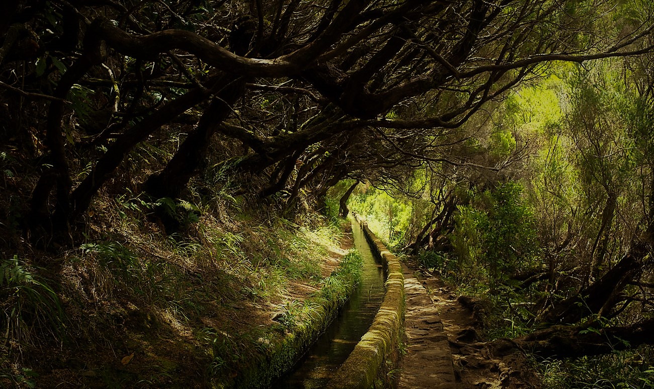 Levada- Weg auf Madeira 