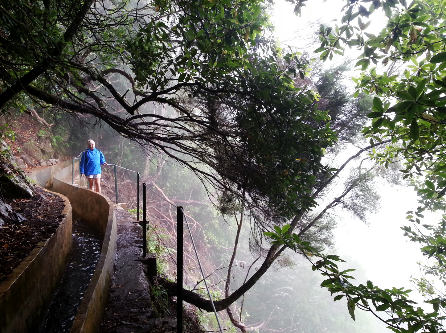 Levadas a Madeira