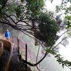 Levadas a Madeira