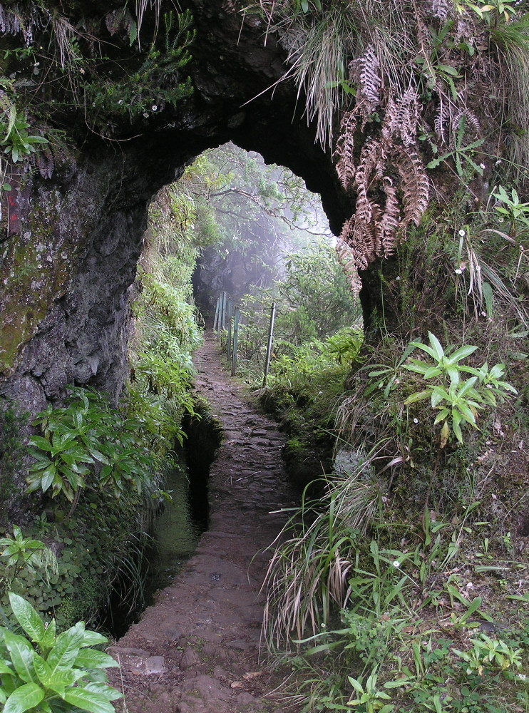 Levadatunnel (2)