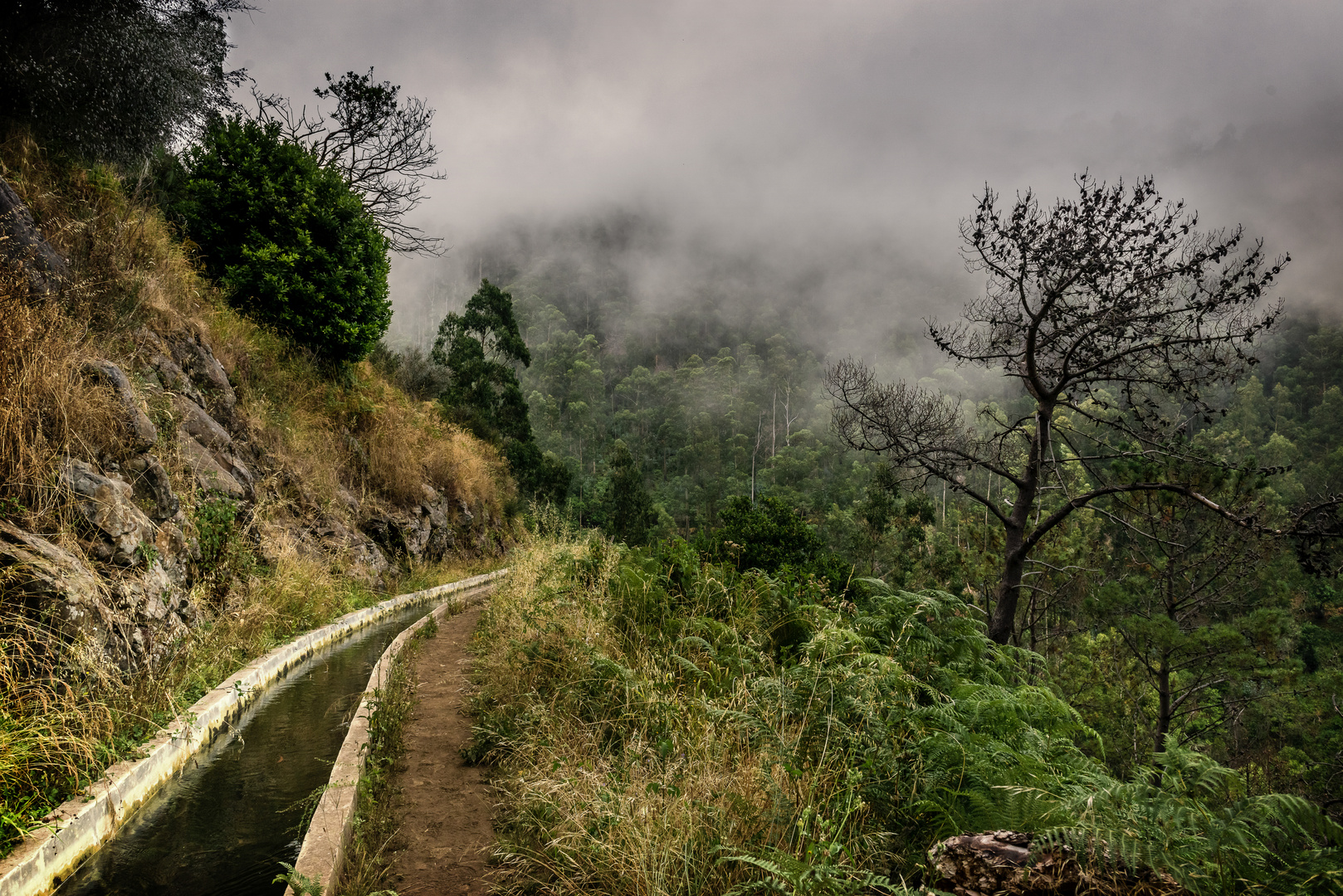 Levadawanderung, Madeira