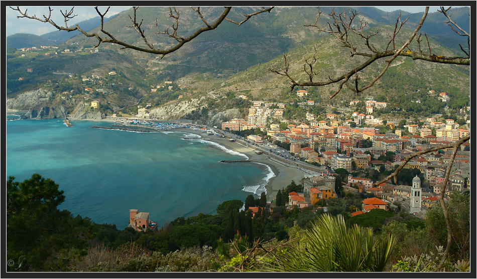 Levanto