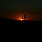 Levé de soleil dans la vallée de la mort