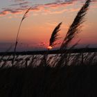 Levé de soleil sur Camargue