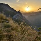 Levé de soleil sur L'aiguille Verte (Grand-Bornand)