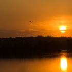 Levé de soleil sur le Marais d'Orx 2/2