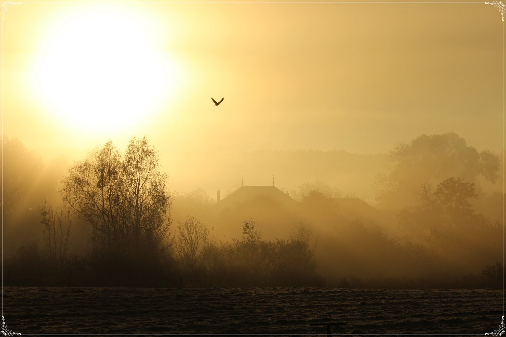 Levé du soleil (4)