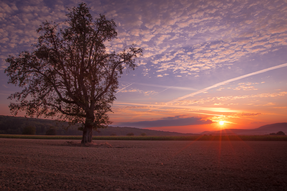 Levé du soleil,