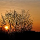 Levé du soleil pendant le petit déjeuné