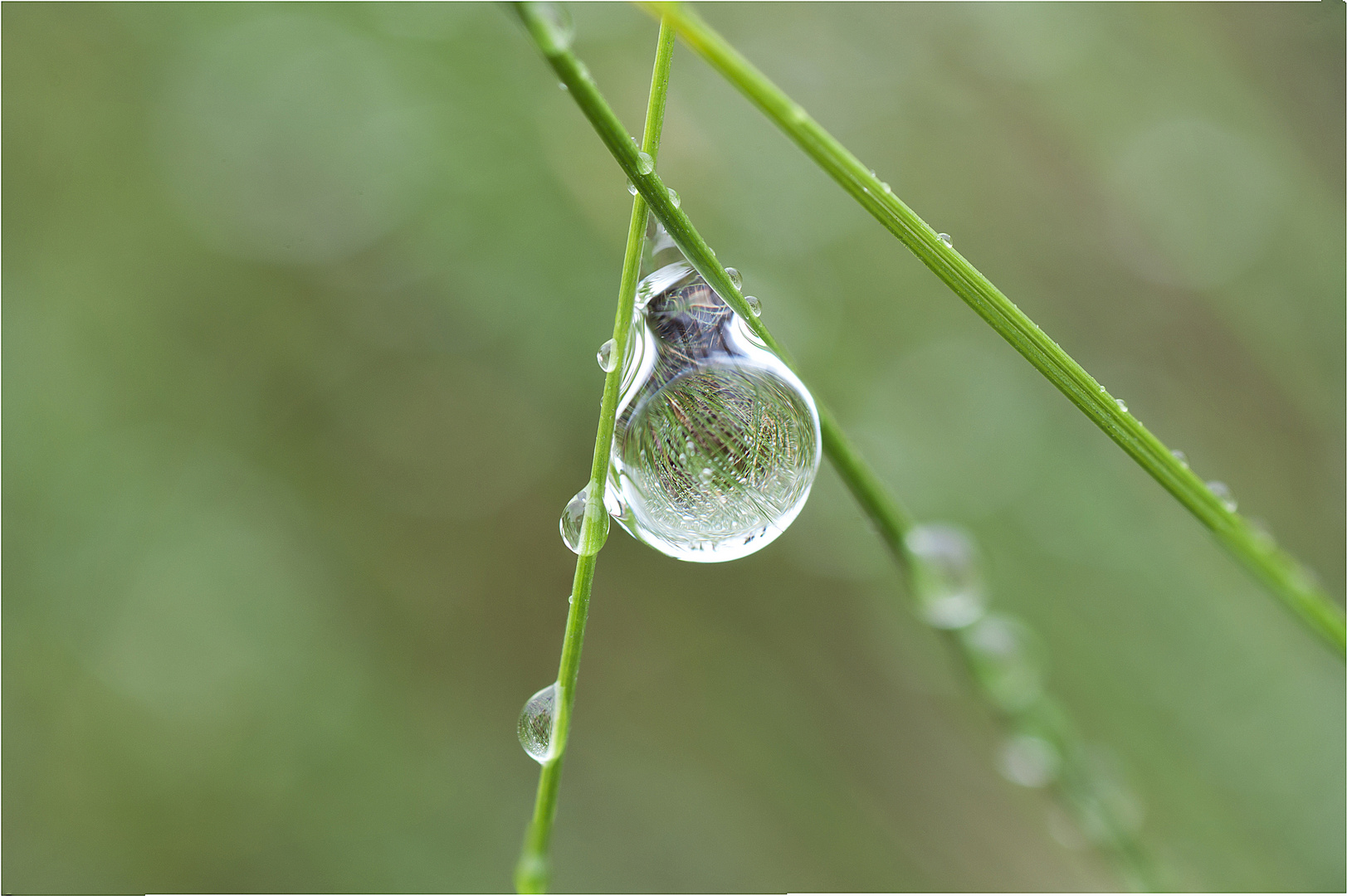 Levedad de una gota de agua