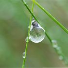 Levedad de una gota de agua