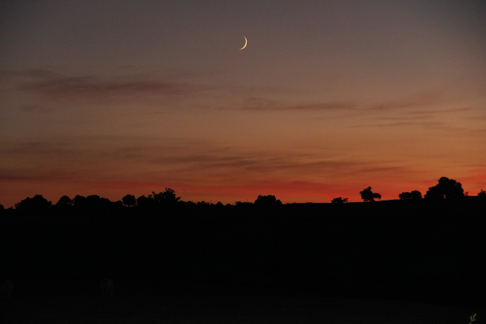 Levée de Lune