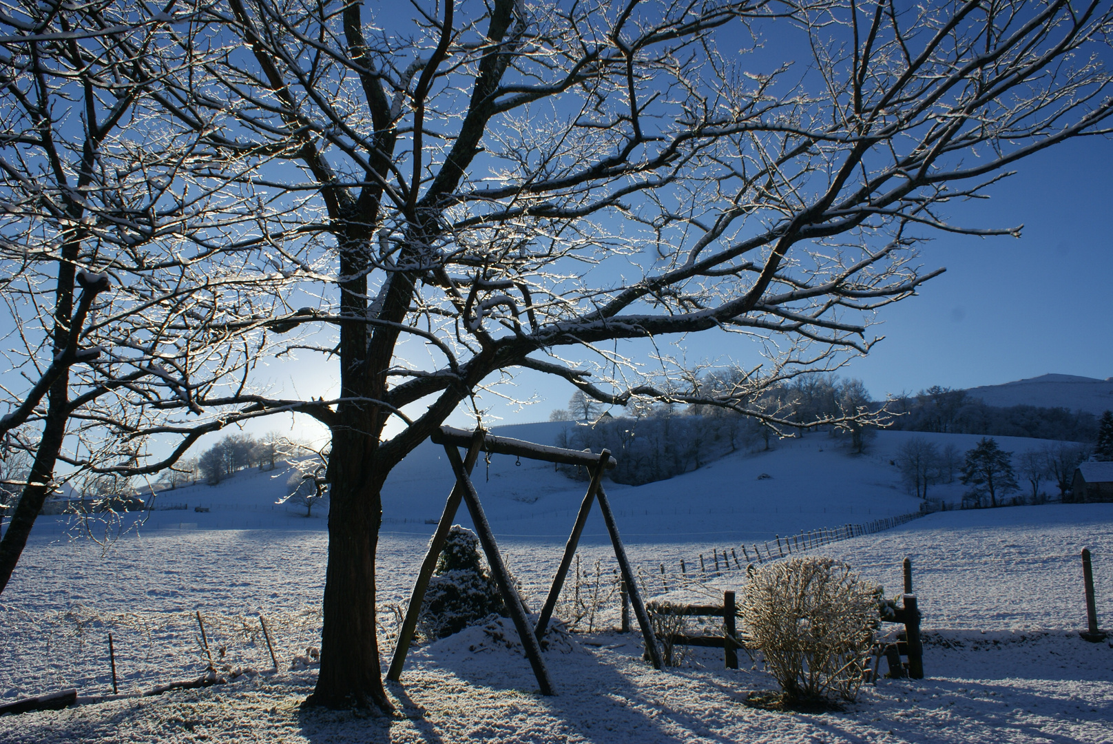 levée de soleil sous la neige