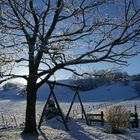 levée de soleil sous la neige