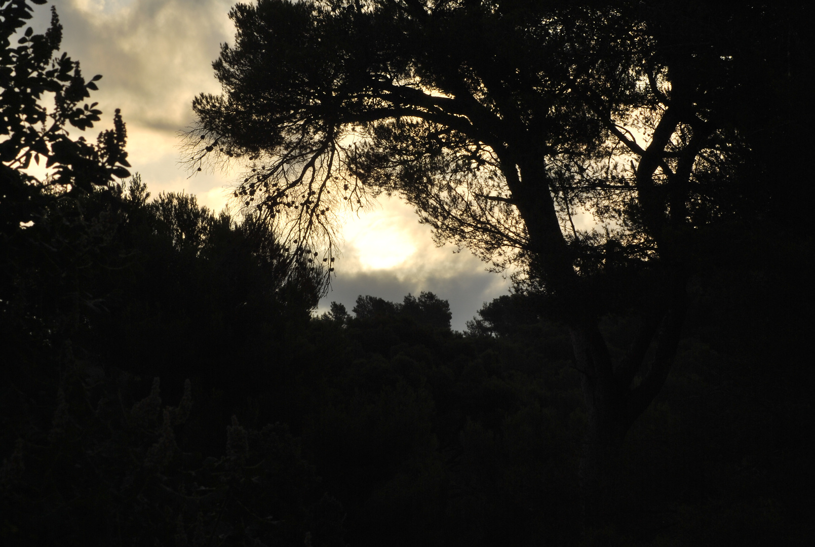 Levée du jour sur les collines de Marseille