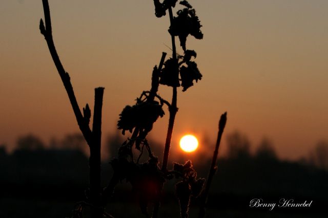 Levée du Soleil