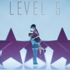 Level 5 