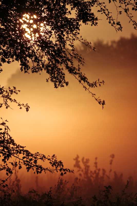 lever dans la brume