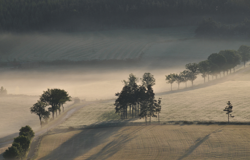 lever de brume