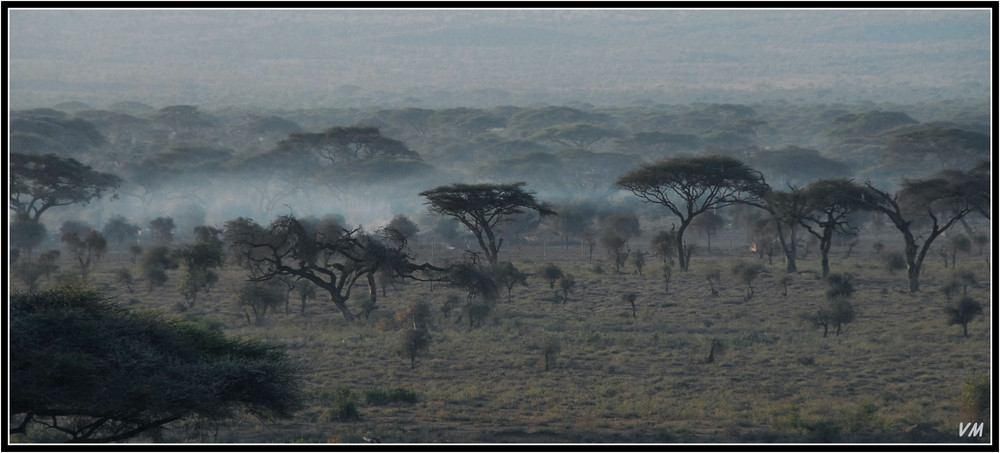 Lever de brume...