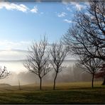 LEVER - DE - JOUR - EN - PERIGORD - 2 --