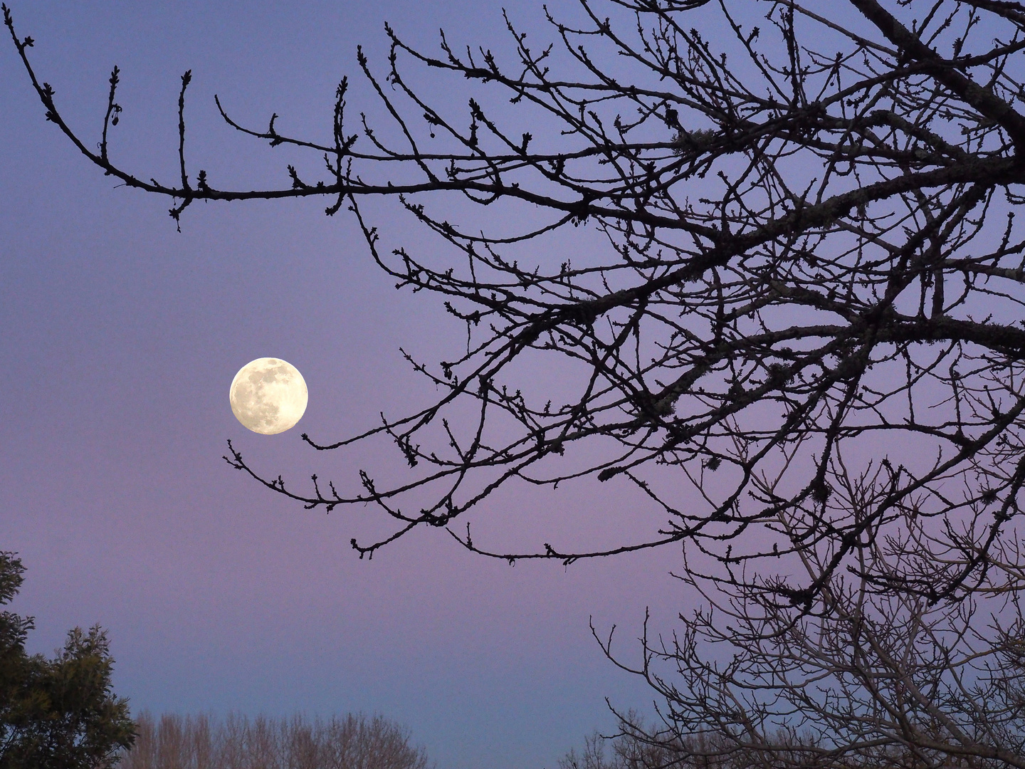 Lever de lune à l’heure bleue