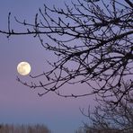 Lever de lune à l’heure bleue