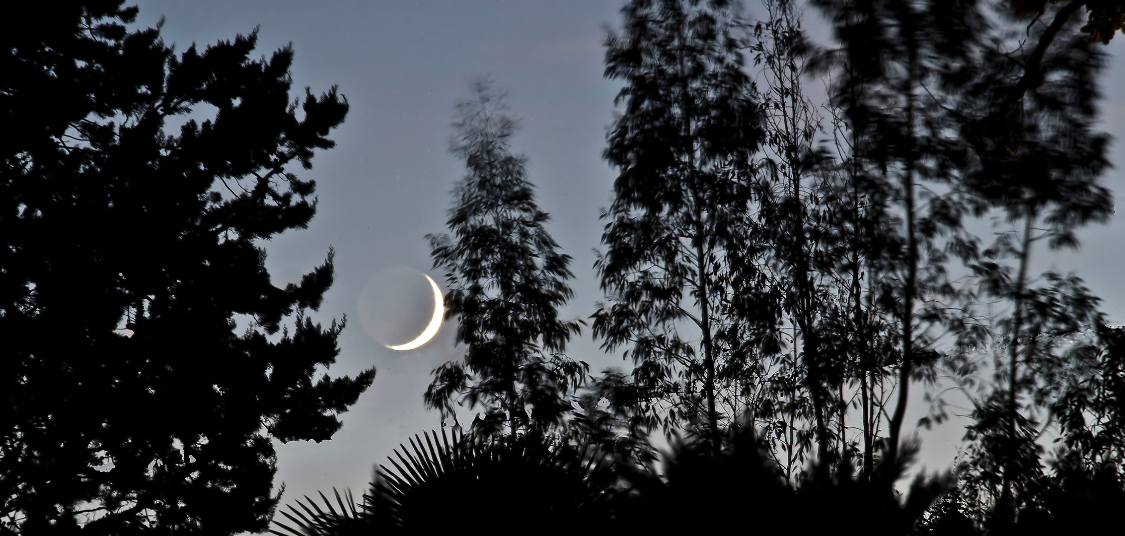 Lever de lune vu de ma terrasse  --  Mondaufgang von meiner Terrasse aus gesehen