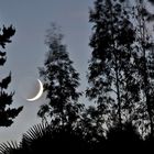 Lever de lune vu de ma terrasse  --  Mondaufgang von meiner Terrasse aus gesehen