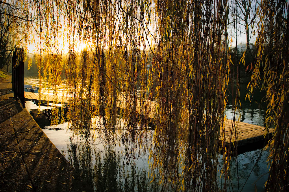 Lever de Rideau Image & Photo de Photofolio de Concours L'automne