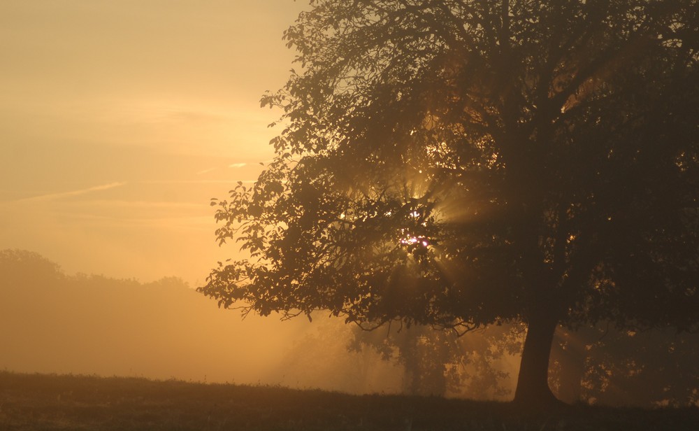 lever de soleil