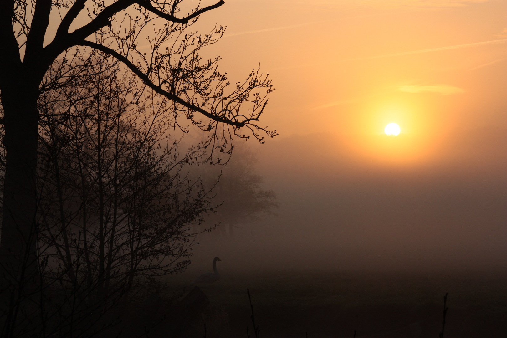 Lever de soleil